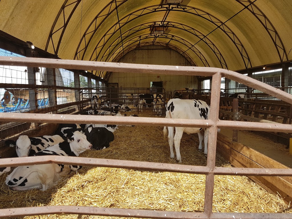 Mountainoak Cheese | 3165 Huron Rd, New Hamburg, ON N3A 3C3, Canada | Phone: (519) 662-4967