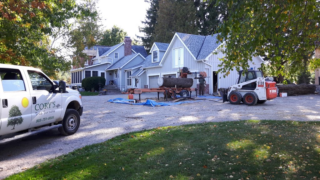 Cory’s tree services | 2 George St, Cookstown, ON L0L 1L0, Canada | Phone: (905) 751-8806