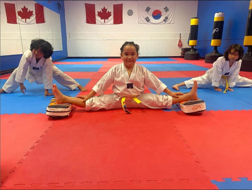 Alpha Martial Arts World | health | 110 Little Ave, Barrie, ON L4N 4K8, Canada | 4164743840 OR +1 416-474-3840