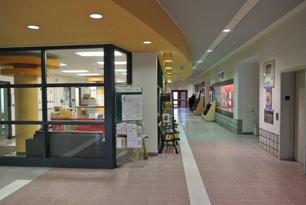 Lambton-Kingsway Junior Middle School | 525 Prince Edward Dr N, Etobicoke, ON M8X 2M6, Canada | Phone: (416) 394-7890