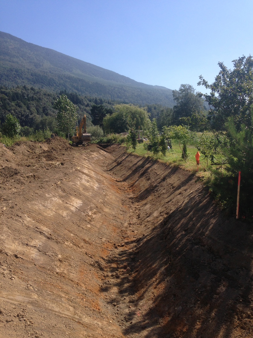 Element Excavating Ltd | 9828 Grigg Rd, Chilliwack, BC V2P 6H4, Canada | Phone: (604) 798-0041