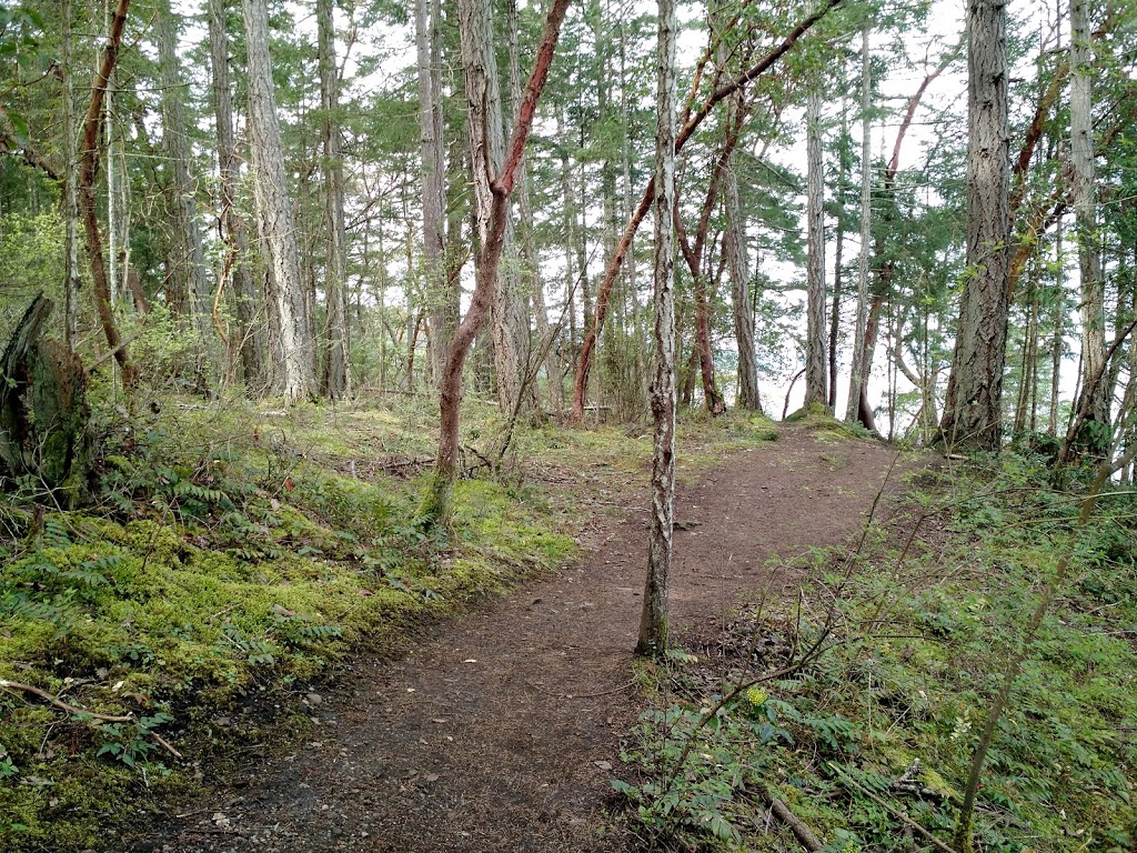 Joan Point Park | 1060 Phoenix Way, Nanaimo, BC V9X 1N2, Canada | Phone: (250) 390-4111