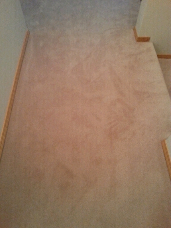 Winnipeg carpet repair | 563 Talbot Ave, Winnipeg, MB R2L 0R7, Canada | Phone: (204) 558-8767