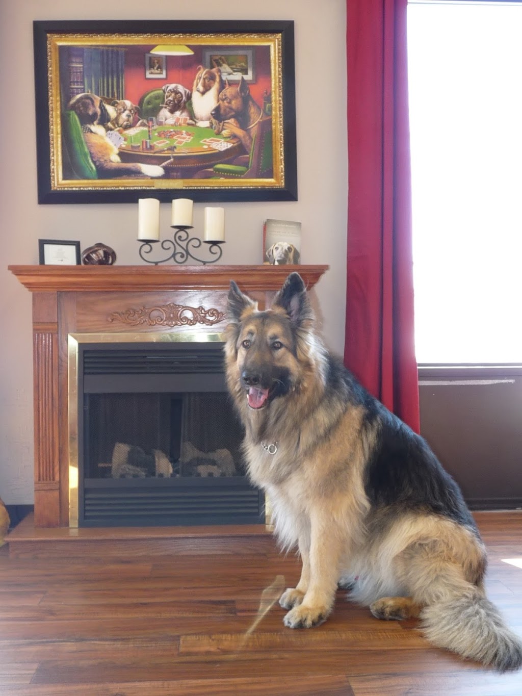 The Hound Lounge | 80 Ellis Dr #1, Barrie, ON L4N 8Z3, Canada | Phone: (705) 728-5211