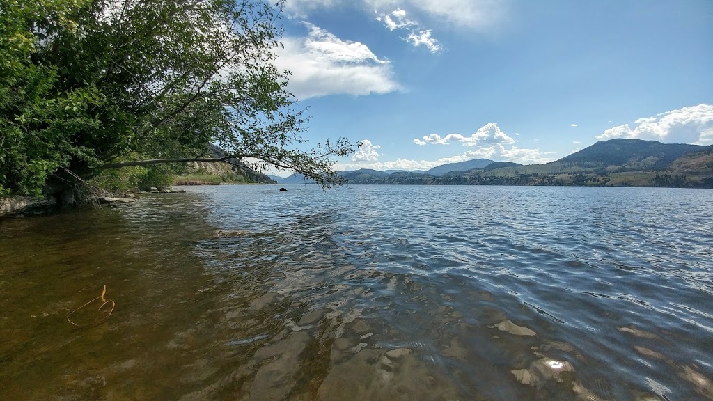 Dog Park beach | 4850-4900 Lakeside Rd, Penticton, BC V2A 8W6, Canada