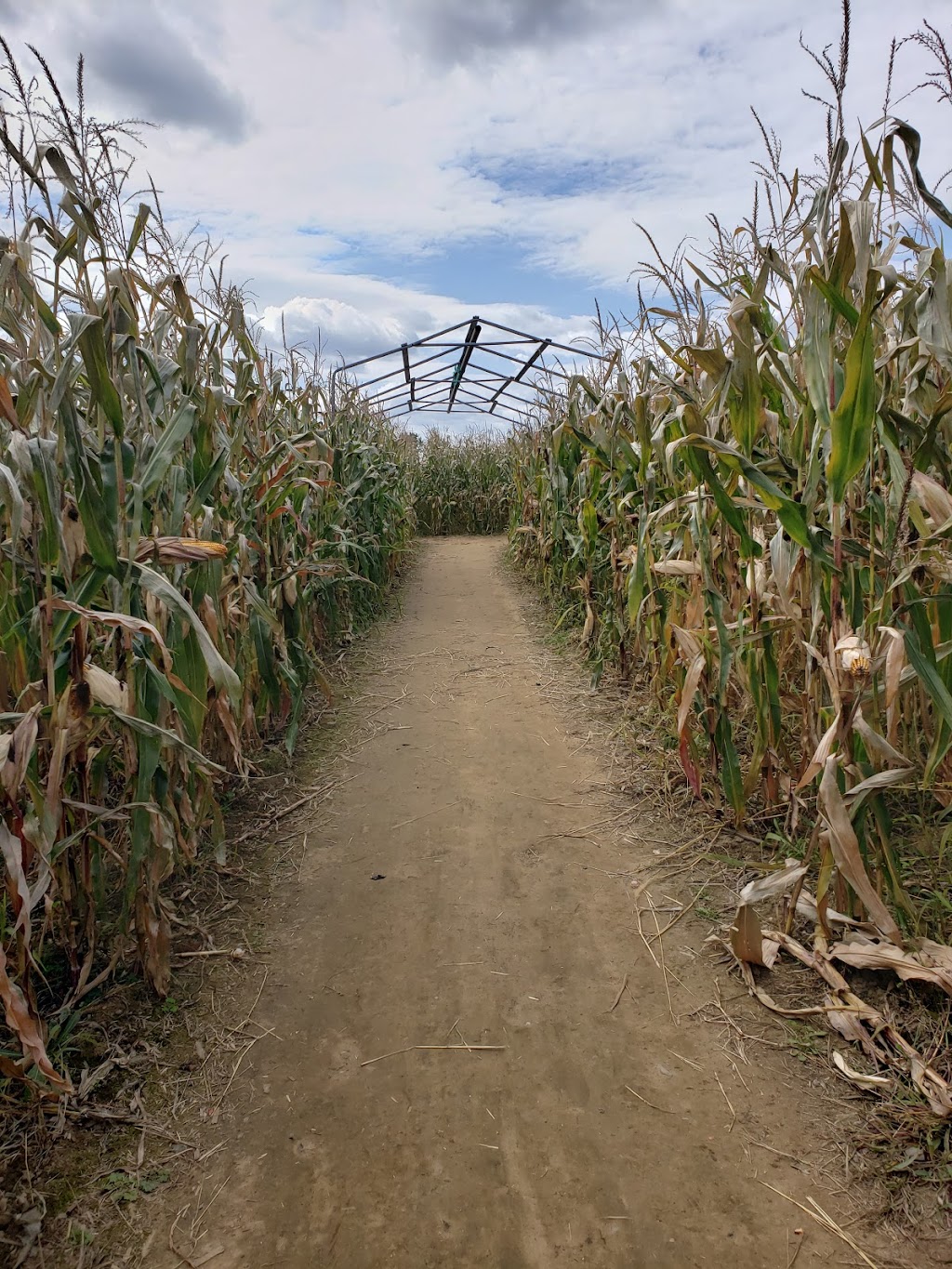 Guy Rivest Farm | 1305 Chem. Laliberté, Rawdon, QC J0K 1S0, Canada | Phone: (450) 834-5127