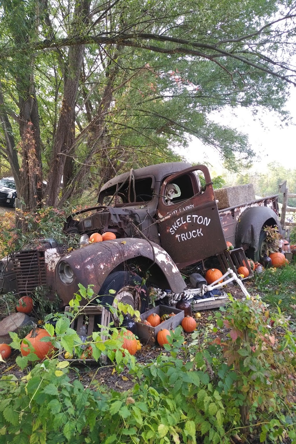 Howell Family Pumpkin Farm | 2878 Holland Rd, Fonthill, ON L0S 1E6, Canada | Phone: (905) 892-3918