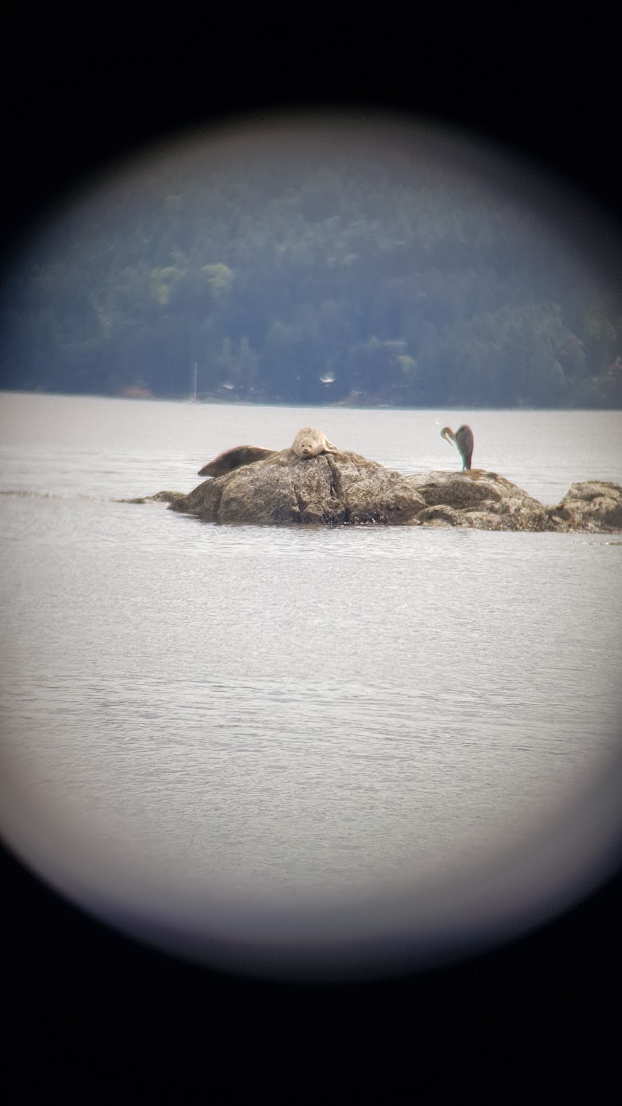 Arbutus Point | Pender Island, BC V0N 2M0, Canada