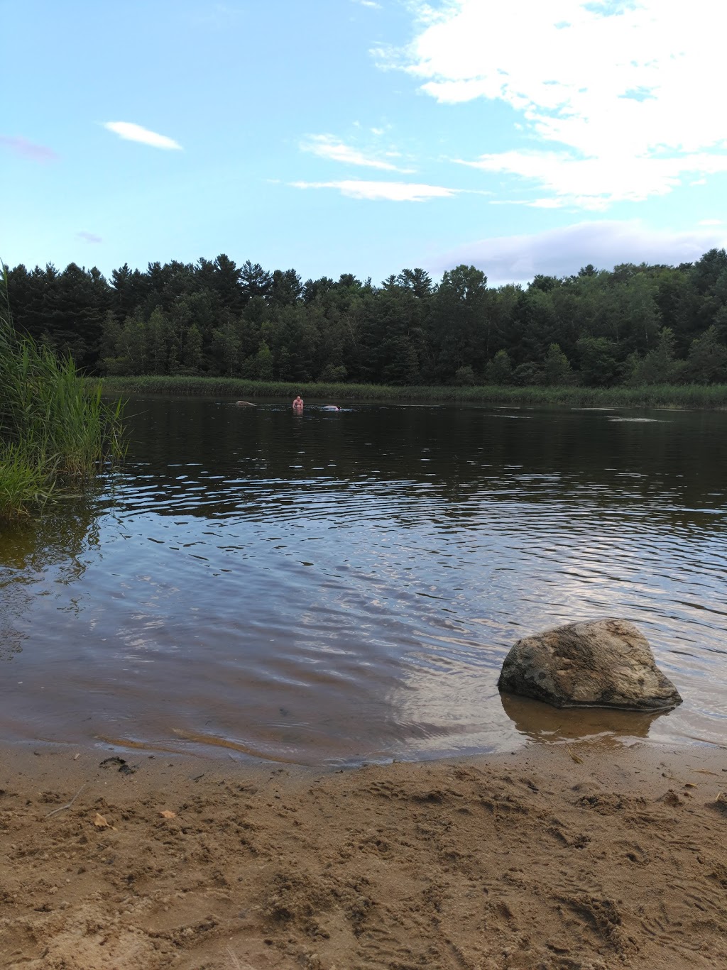 Parc Ivor-McLeod (Parc du lac des Dunes) | Rue Yearling, Saint-Lazare, QC J7T, Canada | Phone: (450) 424-8000