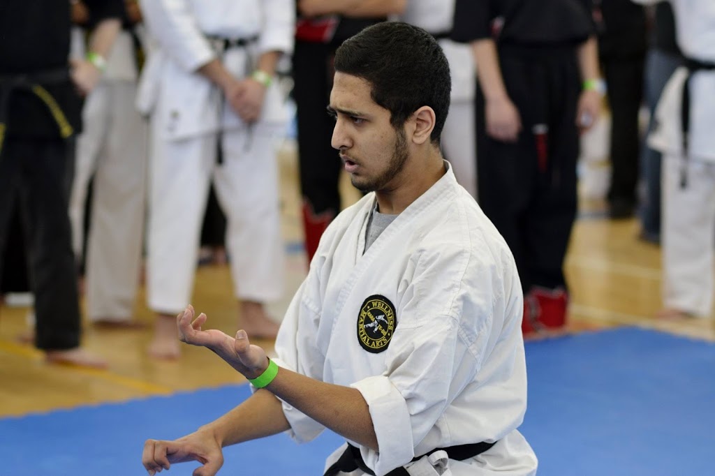 Wellness Martial Arts | 2131 Williams Pkwy Unit #2, Brampton, ON L6S 5Z4, Canada | Phone: (905) 790-3382