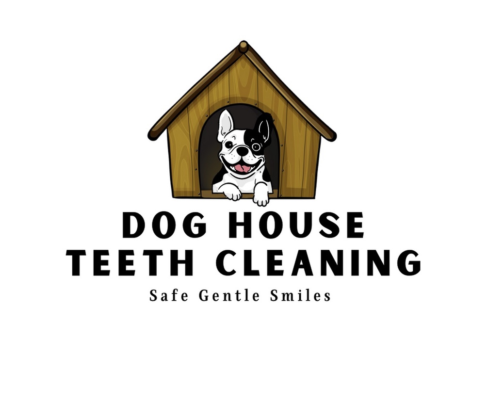 Dog House Teeth Cleaning | 8 Rhine Meadow Rd, Heidelberg, ON N0B 2M1, Canada | Phone: (519) 503-9693