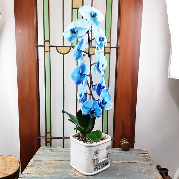 Simply Flowers N Things | 119 Henderson Ave Unit 2, Markham, ON L3T 2L3, Canada | Phone: (800) 267-8164