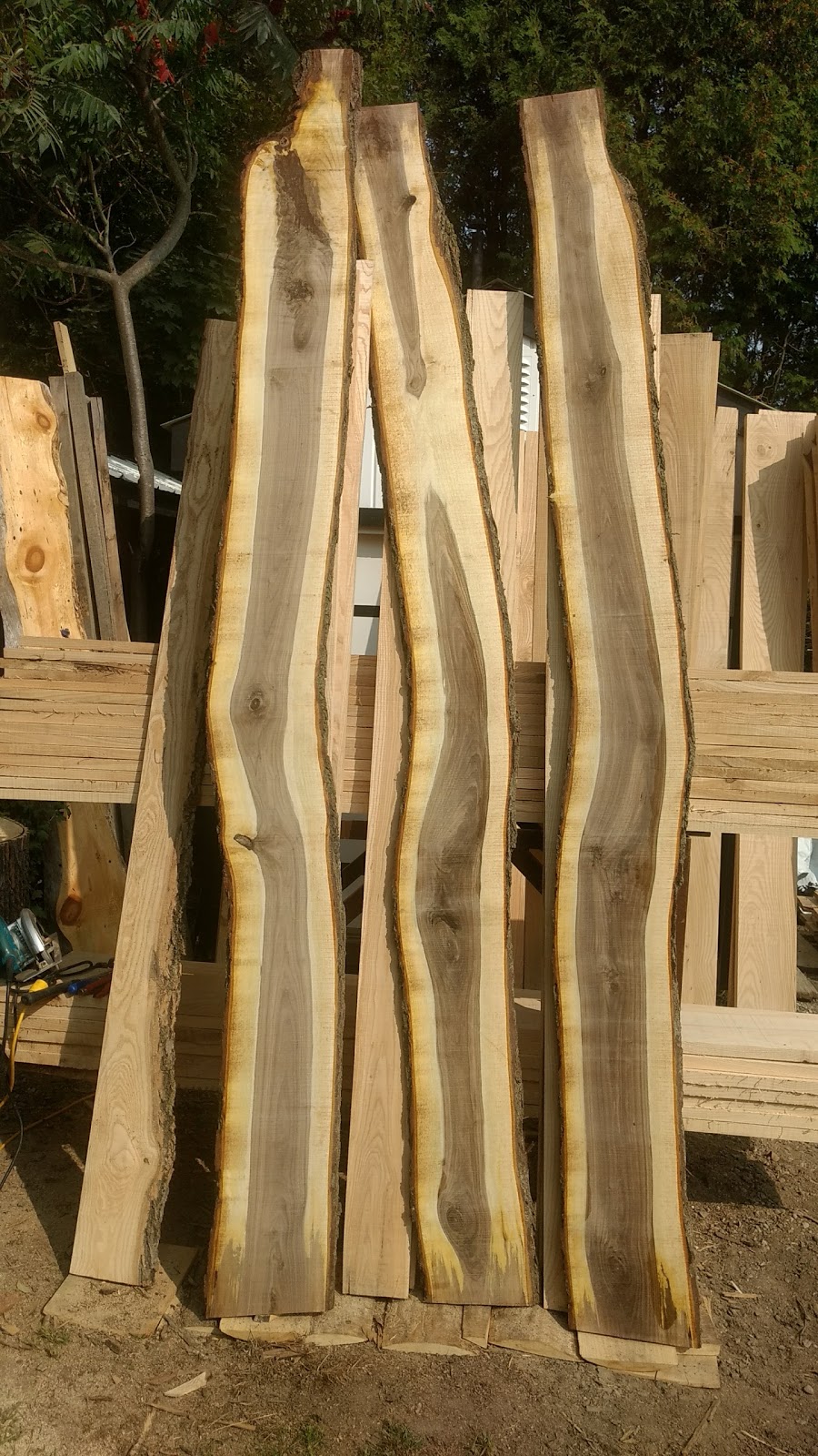 Sylvan Sawmill | 32207 Sylvan Rd, Parkhill, ON N0M 2K0, Canada | Phone: (519) 639-9800