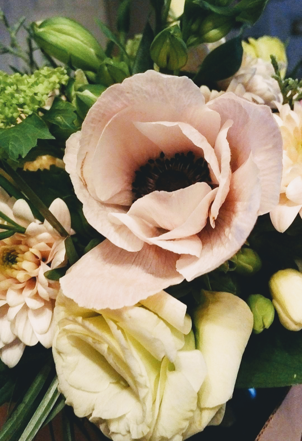 Confetti Floral Design | 2613 Pauline St, Abbotsford, BC V2S 3S2, Canada | Phone: (604) 615-6335