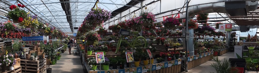 Tulipes.ca | 1055 Rue Principale, 1201 Chem. du Général Vanier, Laval, QC H7X 0C9, Canada | Phone: (450) 639-5145