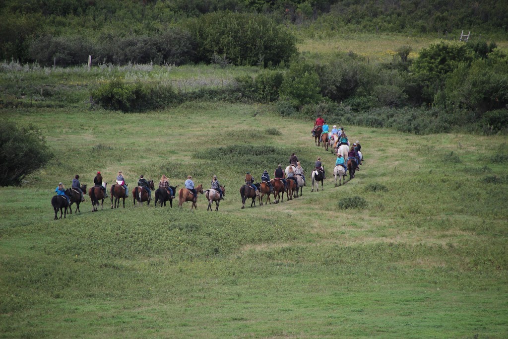 Dallas Valley Ranch Camp | Box 779, Lumsden, SK S0G 3C0, Canada | Phone: (306) 731-3348