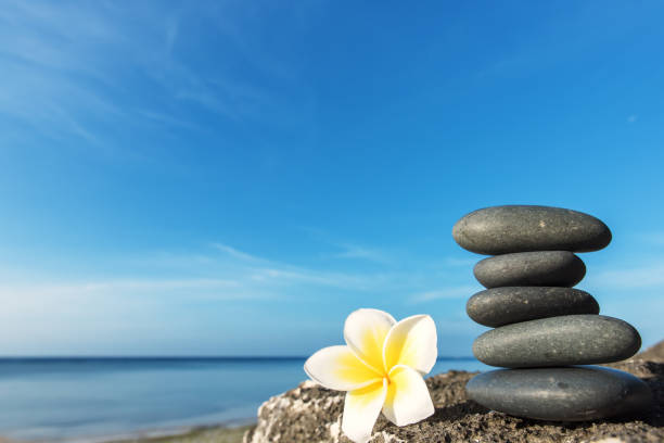 Beauté de la Mer/ Sea Beauty (Shape) | 2292 Rue de lAzalée, Terrebonne, QC J7M 0C4, Canada | Phone: (514) 623-7826