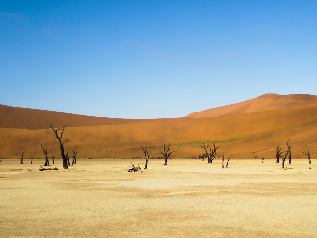 Traversing Africa | 3643 Vitality Rd, Victoria, BC V9C 0E9, Canada | Phone: (647) 924-0674
