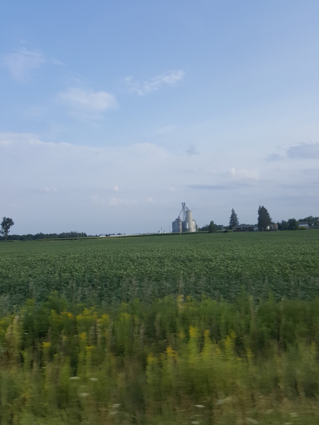 Brammall Phytotech Inc | 814575 Muir Line, Woodstock, ON N4S 7W3, Canada | Phone: (519) 467-0220