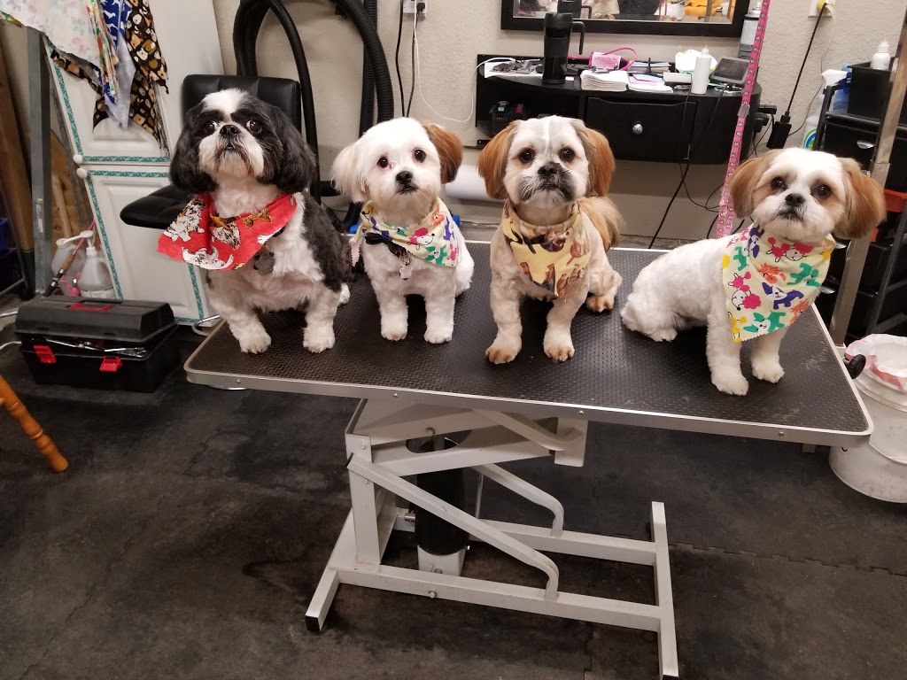 Ruff Cutz Paw Spa | 252 Young St, Alliston, ON L9R 1V1, Canada | Phone: (705) 434-8567