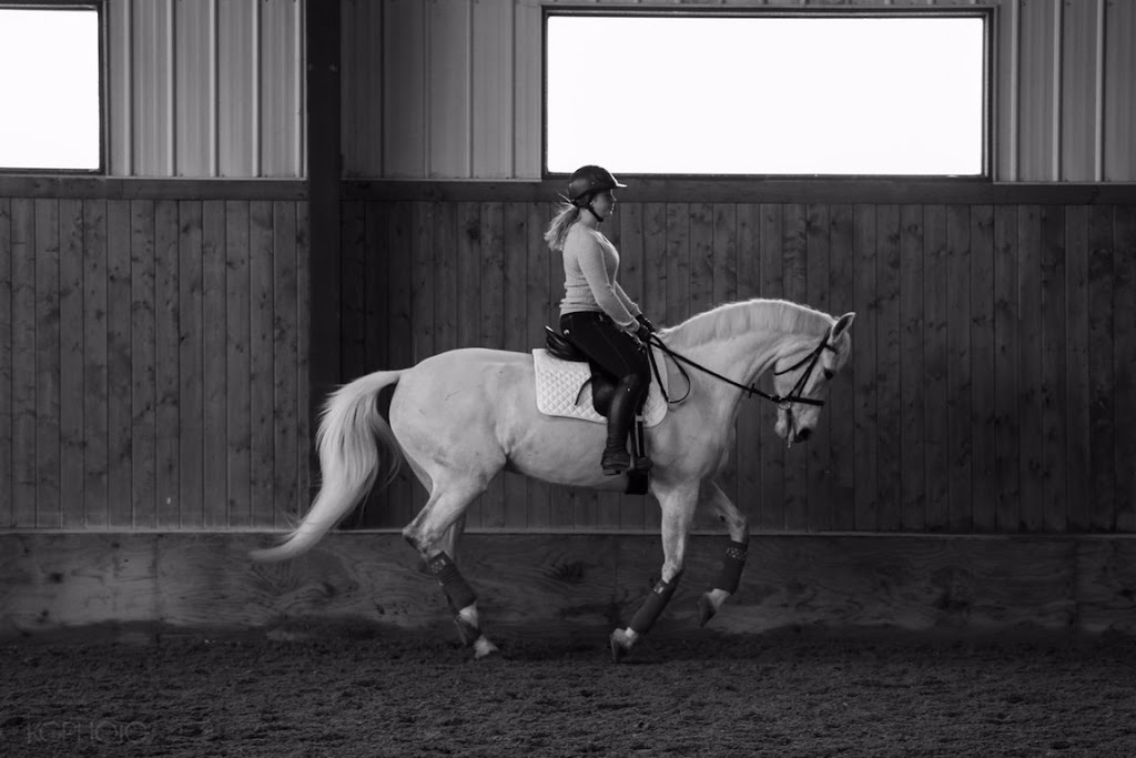 Nordic Farms | 144135 370 Ave W, AB T0L 0H0, Canada | Phone: (403) 813-8779