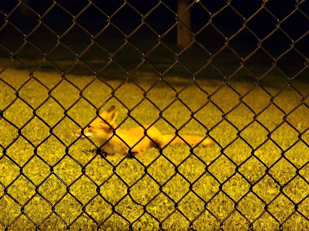 Summit Park Public Tennis Courts | Summit Park, Aurora, ON L4G 4Y6, Canada | Phone: (905) 727-3123