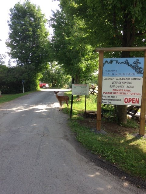 Thompsons Black Rock Park | 745 Black Rock Ln, Clayton, ON K0A 1P0, Canada | Phone: (613) 256-1020