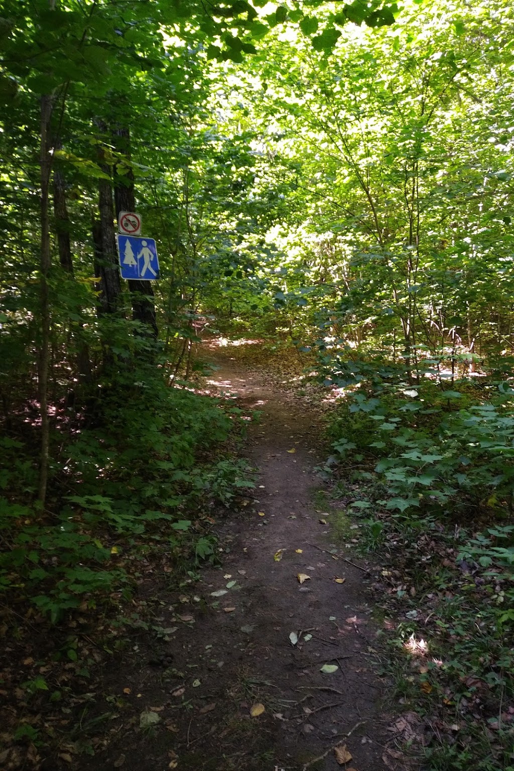 Site De La Plage/Beach - Poisson Blanc - Secteur Rapide Du Fort | 24 Chem. du Rapide du Fort, Antoine-Labelle, QC J0W 1S0, Canada | Phone: (866) 707-2999