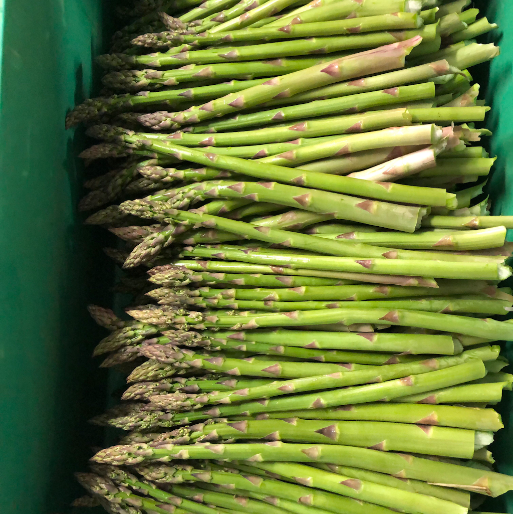 Ferme Légaré et Grégoire - Sirop d’érable | 60 Rang des Pins, Saint-Esprit, QC J0K 2L0, Canada | Phone: (450) 839-6892