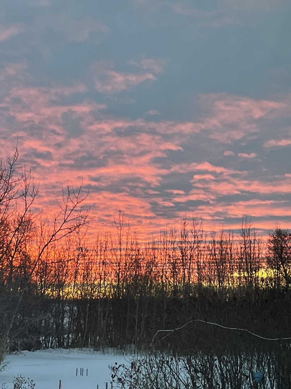 Redrock farm Mundare AB Canada | 524054, Range Rd 162, Mundare, AB T0B 3H0, Canada | Phone: (780) 906-3303