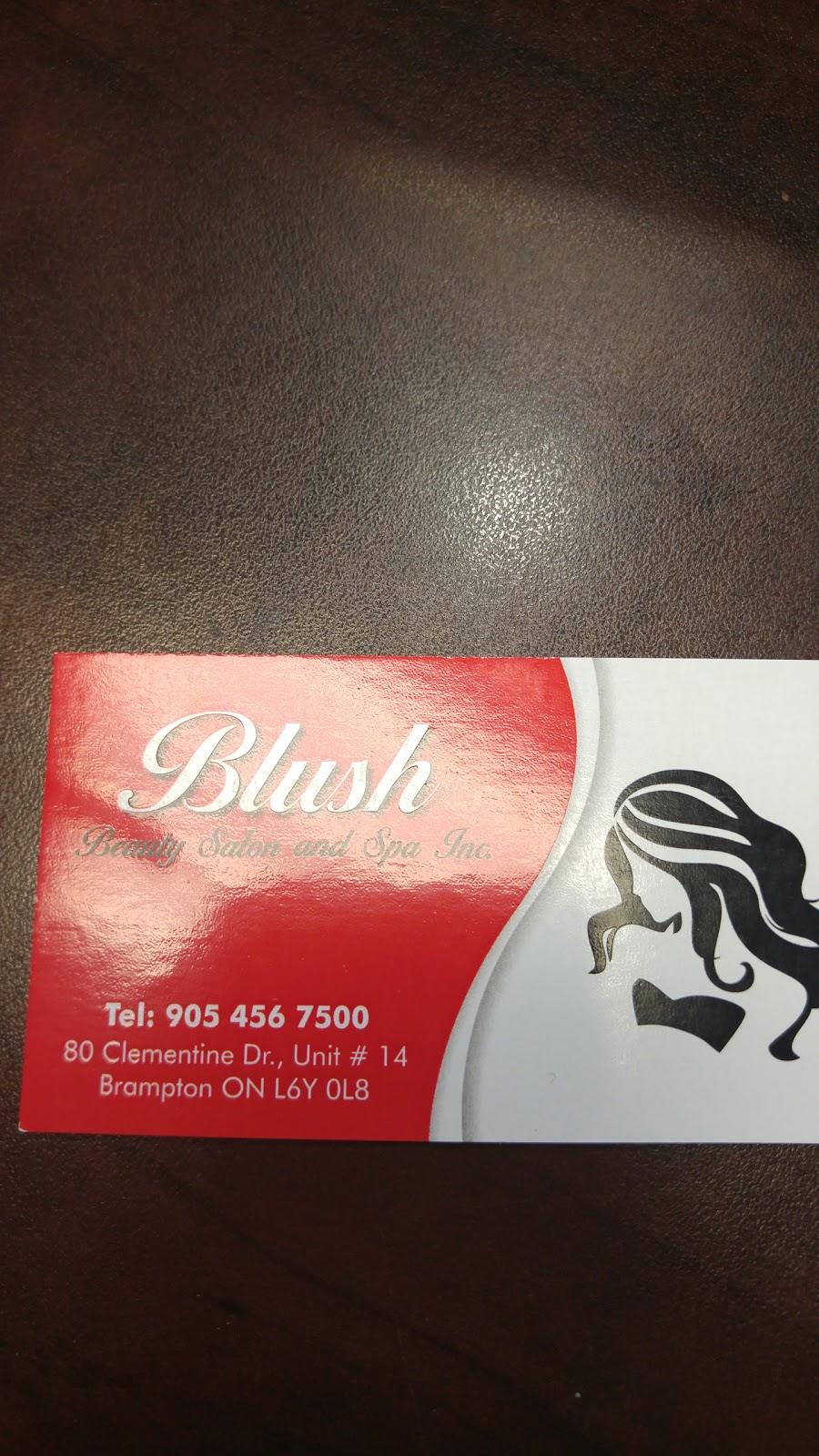 Blush Beauty Salon & Spa Inc. | 80 Clementine Dr Unit# 14, Brampton, ON L6Y 0L8, Canada | Phone: (905) 456-7500