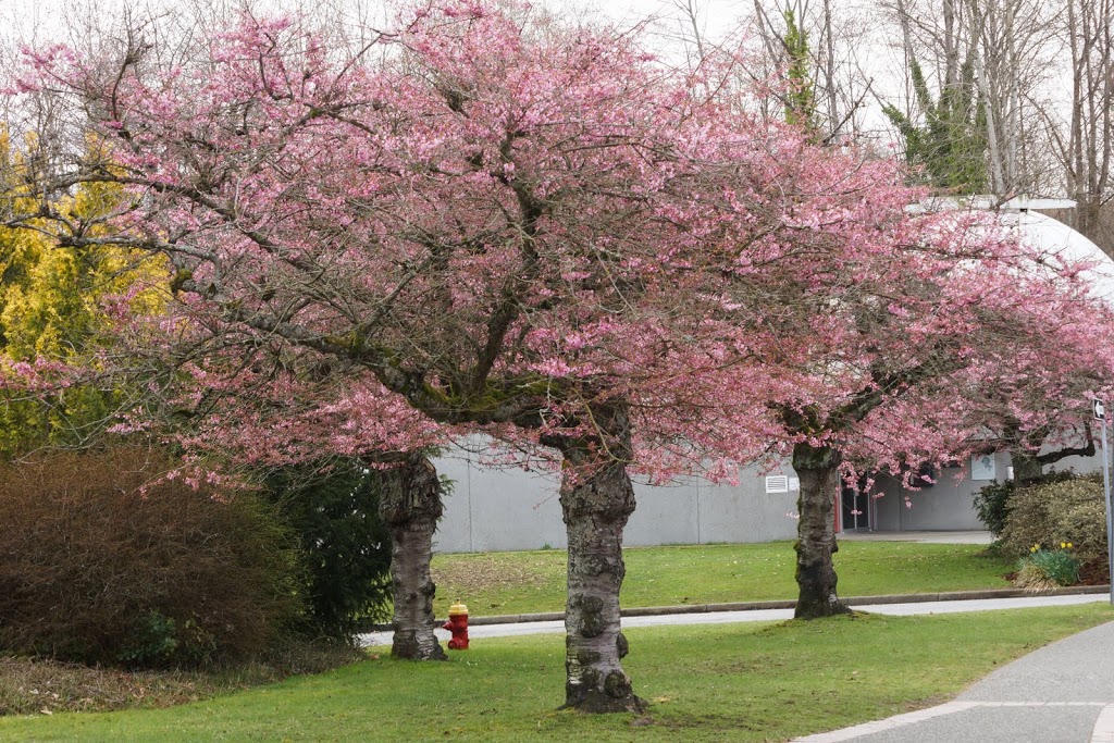 Vanier Park | 1000 Chestnut St, Vancouver, BC V6J 3J9, Canada | Phone: (604) 873-7000