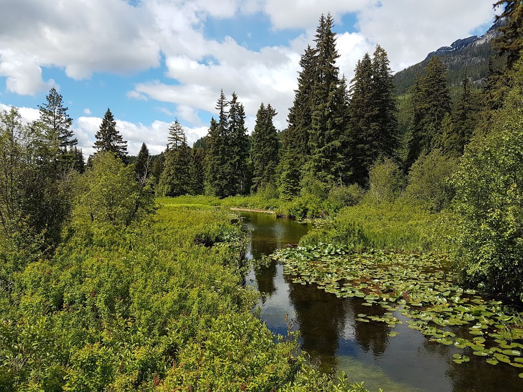 Blueberry Beach Park North | Whistler, BC V0N 0A0, Canada | Phone: (604) 764-6553