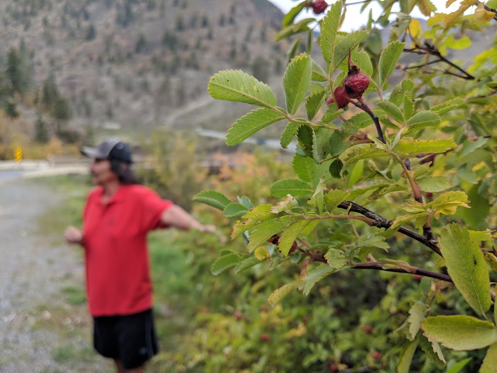 Xwísten Experience Tours | 5202 Lillooet Pioneer Rd 40, Lillooet, BC V0K 1V0, Canada | Phone: (250) 256-7844