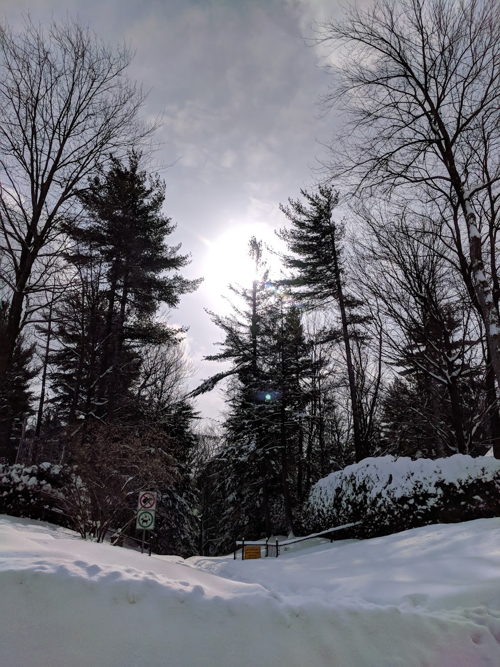 Boisé de Fontainebleau | 3 Rue de Maintenon, Blainville, QC J7B 1M6, Canada