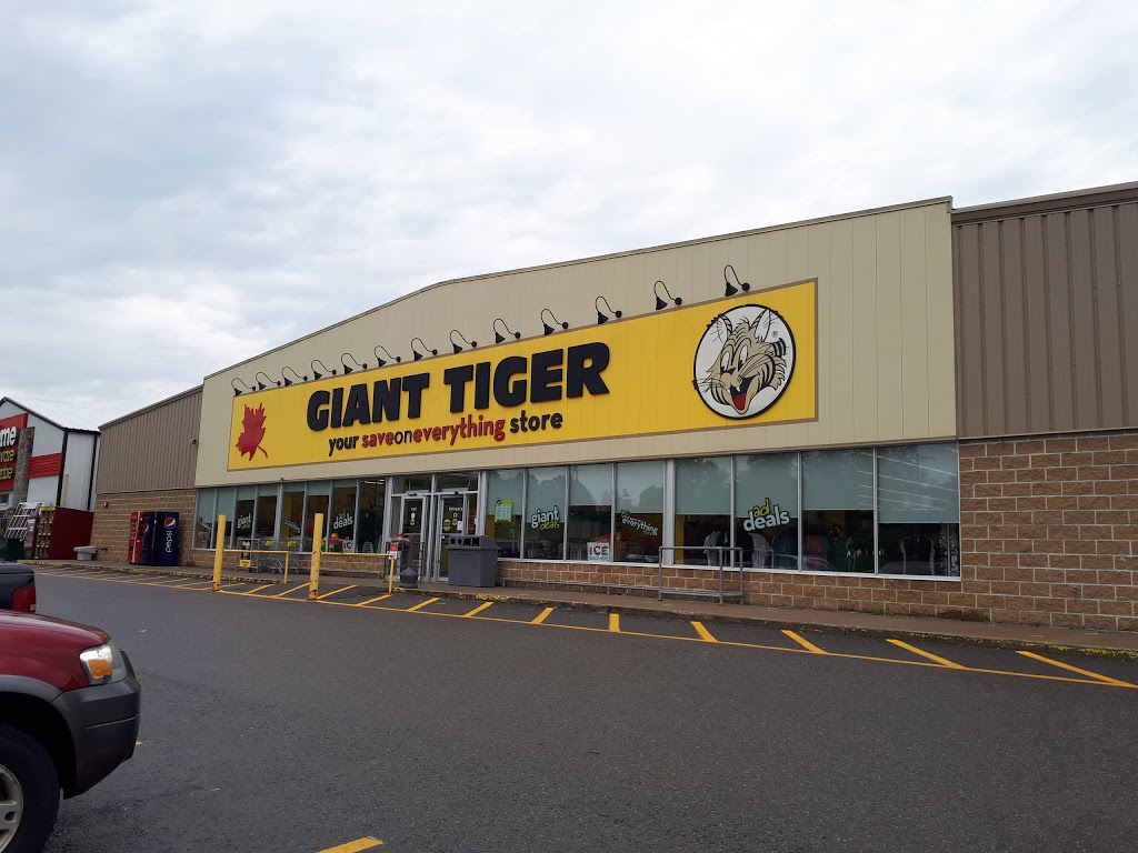 Giant Tiger | 547 Grand Rd, Campbellford, ON K0L 1L0, Canada | Phone: (705) 632-1377
