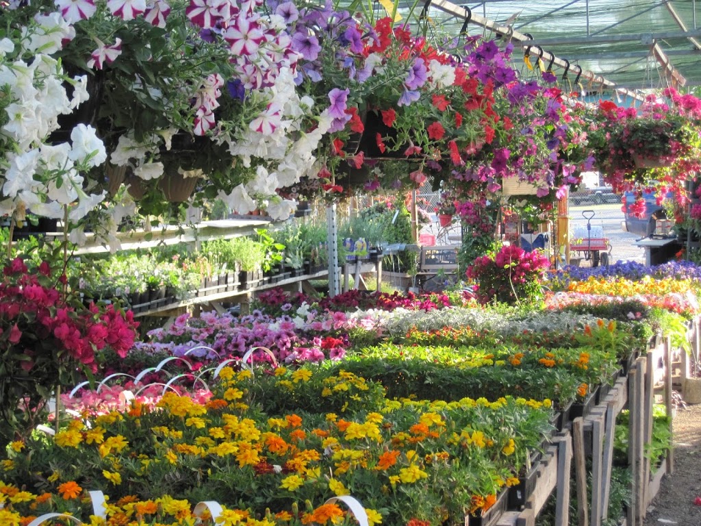 Peterborough Landscape Supply and Marquis Hot Tubs | 2200 Keene Rd, Peterborough, ON K9J 6X7, Canada | Phone: (705) 743-1428