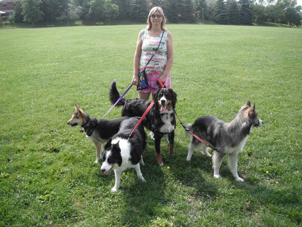 Pet Me Please | 1386 County Rd 5, Frankford, ON K0K 2C0, Canada | Phone: (613) 398-0314