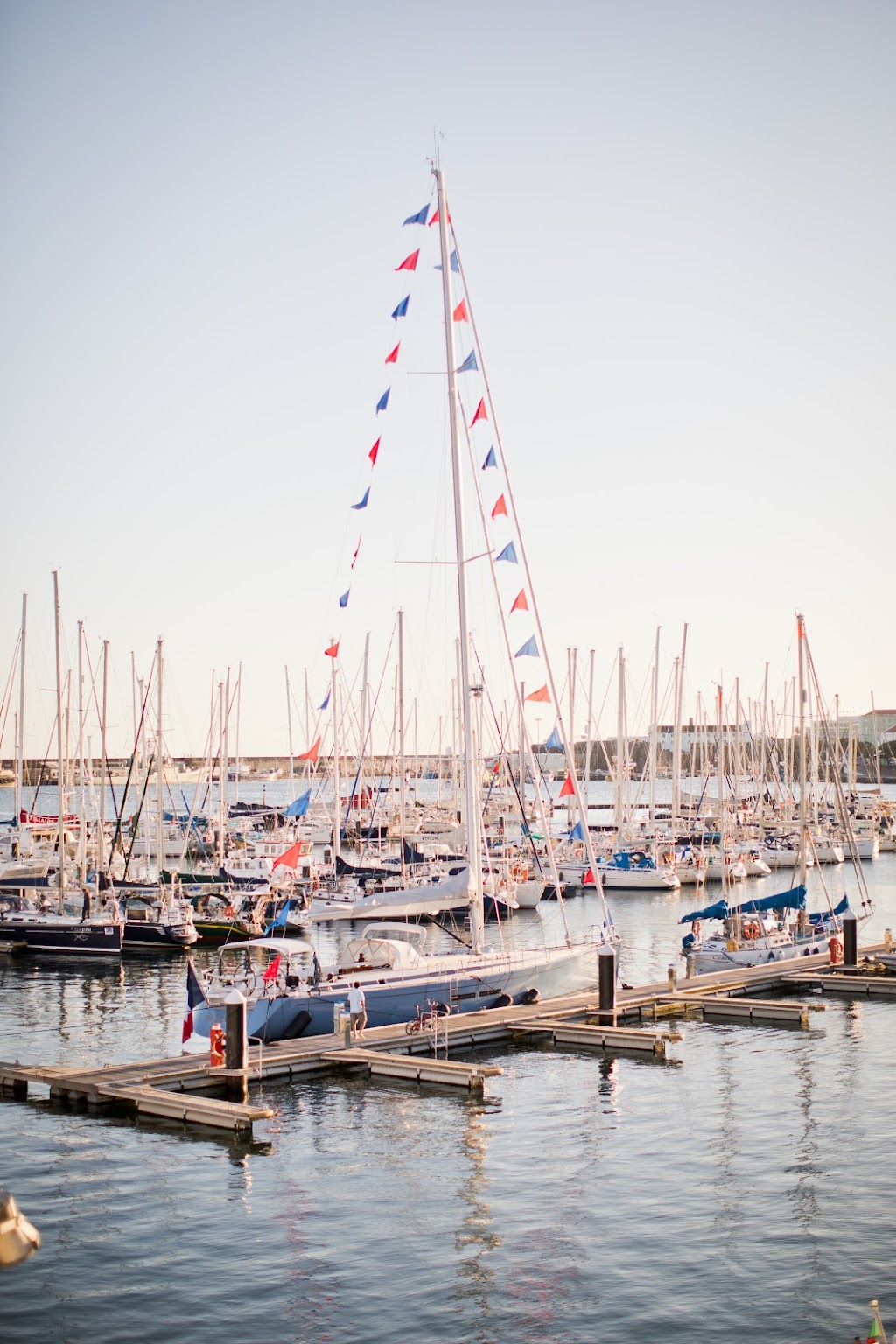 Dragonflight Photography | 200 St, Langley, BC V3A 1N3, Canada | Phone: (778) 230-8907
