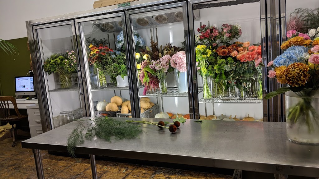 blumenstudio | 1395 Wellington St. W, Ottawa, ON K1Y 2X1, Canada | Phone: (613) 680-8400