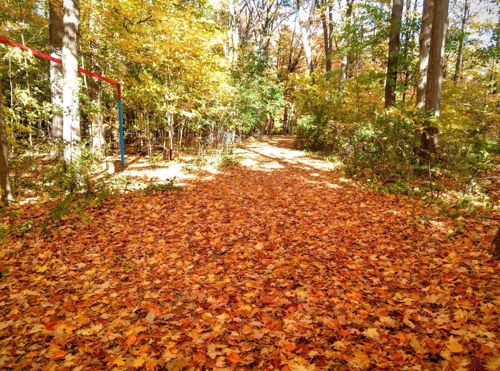 Brimley Woods Park | 2755 Brimley Rd, Toronto, ON M1S, Canada
