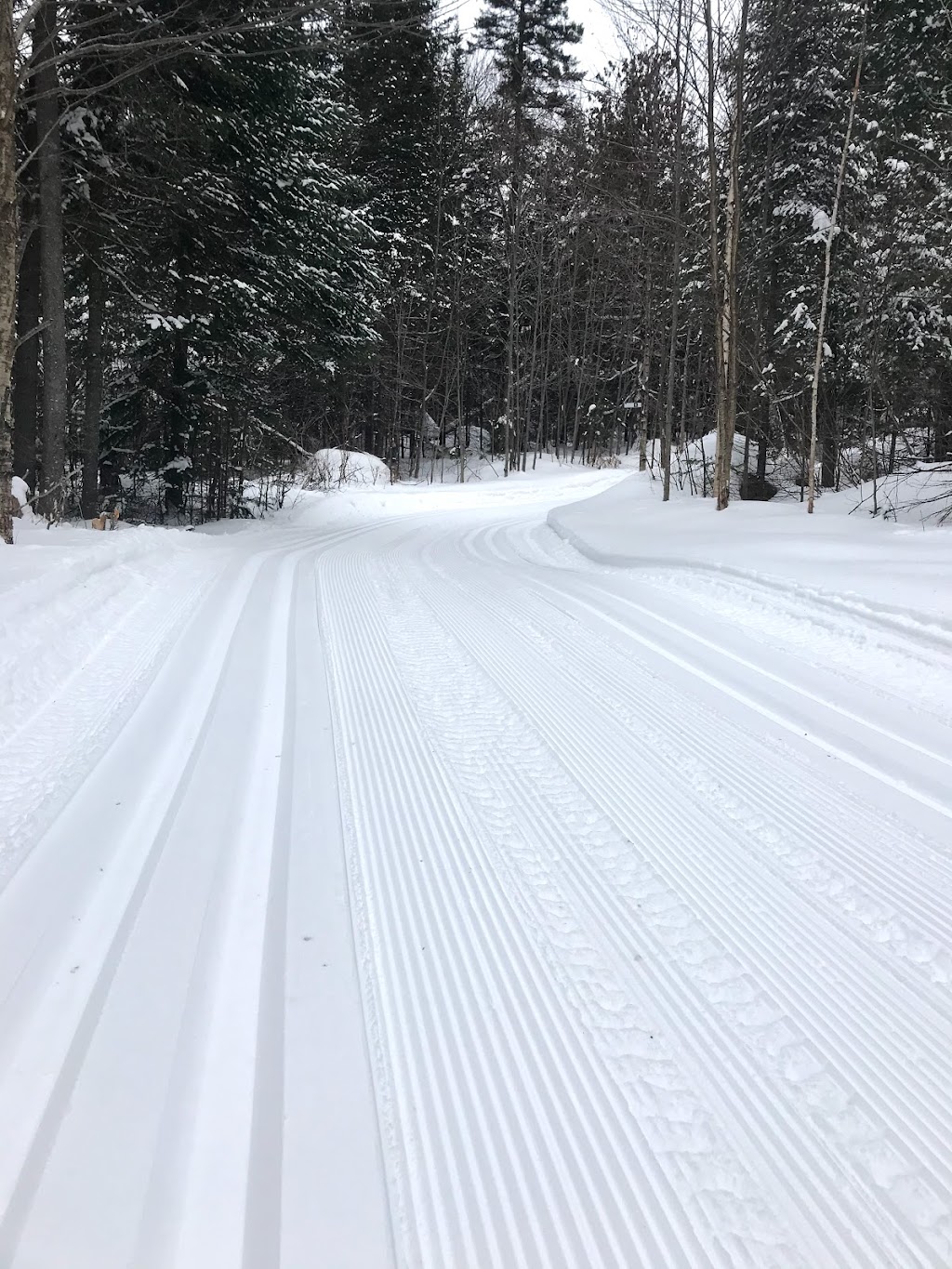 Ski de fond et raquette Estérel (Hors Limite) | Av. dAnvers, Estérel, QC J0T 1E0, Canada | Phone: (450) 822-8687