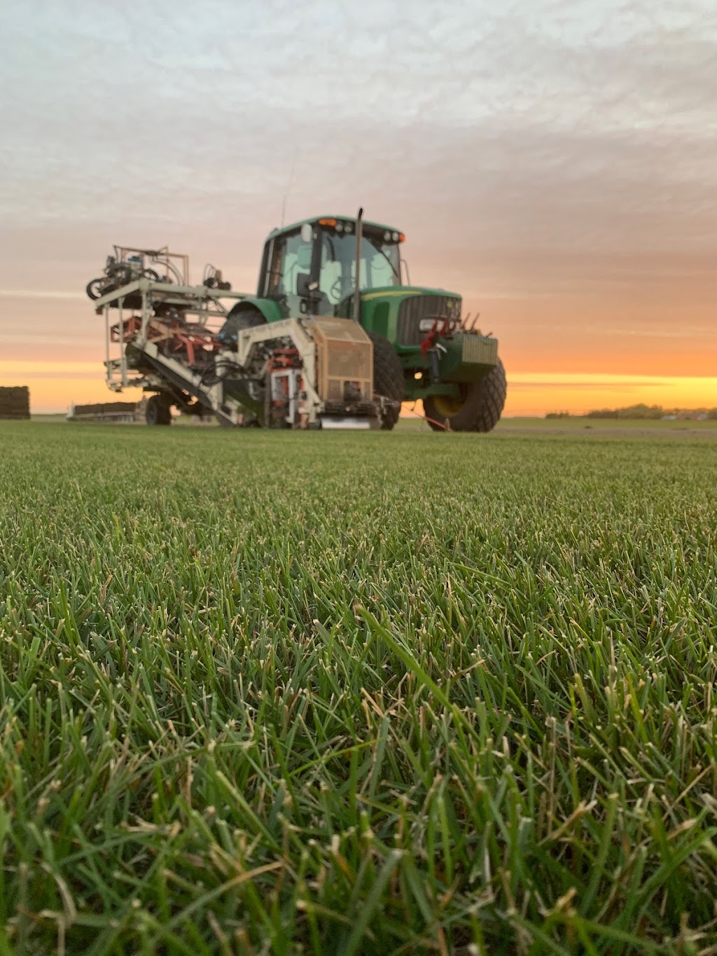 Lach Sod Farms | #84036 Rd 13E (corner of Road 84N & Road 13E), Balmoral, MB R0C 0H0, Canada | Phone: (855) 843-4222