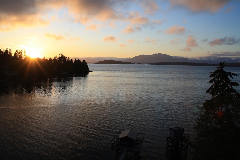Amber Tanti, REALTOR® | 202-1551 Estevan Rd, Nanaimo, BC V9S 3Y3, Canada | Phone: (250) 591-4601