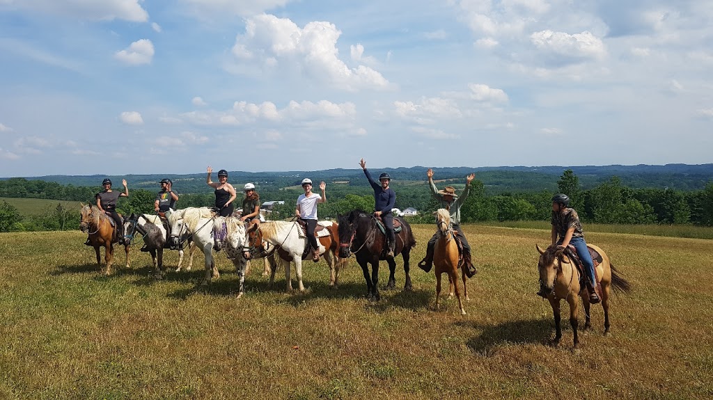 Windsong Carriage & Ranch | 597520 Grey Rd 29, Bognor, ON N0H 1E0, Canada | Phone: (519) 376-1518
