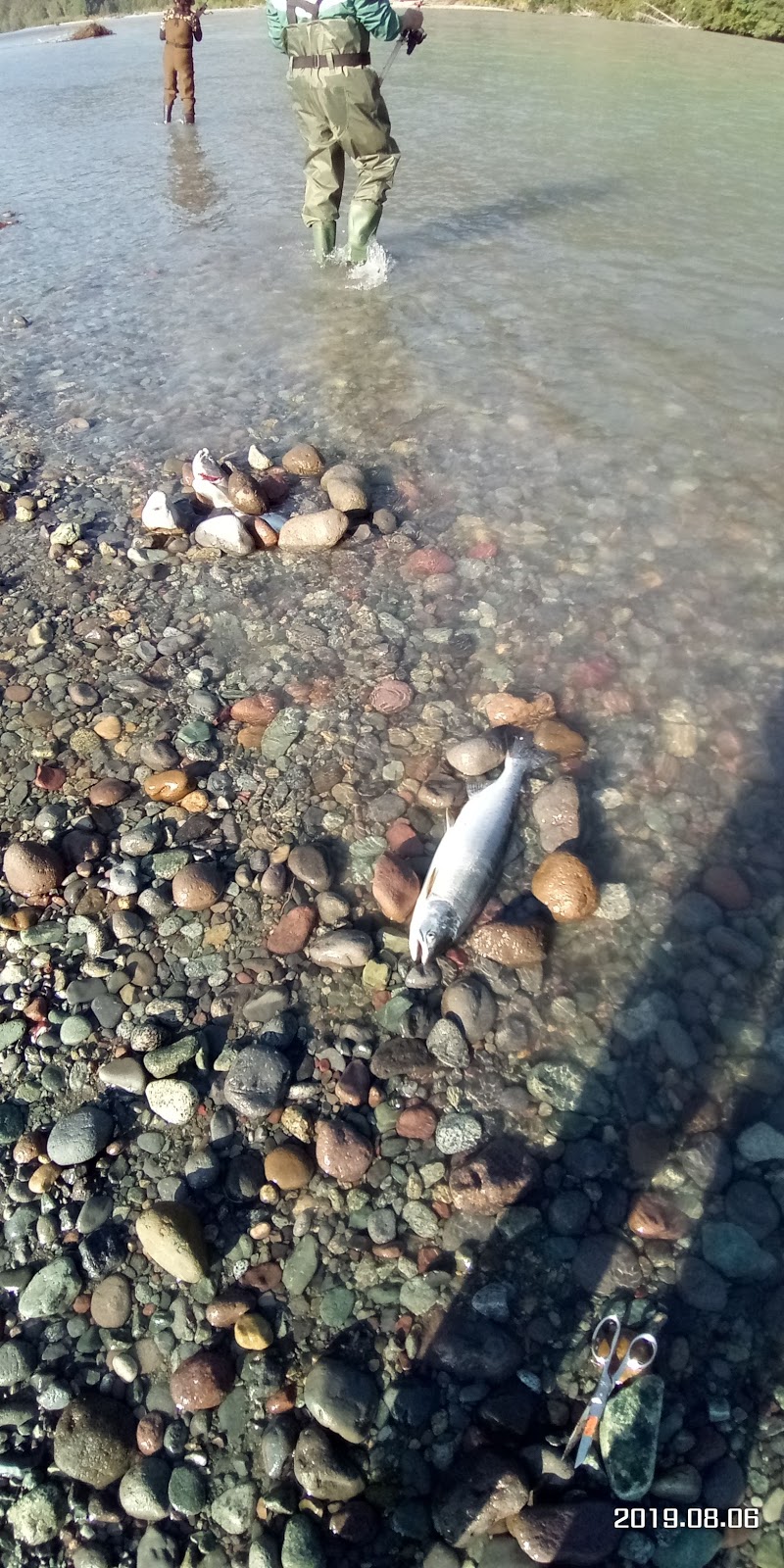 Fishermans Park Squamish River | River Rd, Squamish, BC V0N 1H0, Canada | Phone: (604) 815-4040