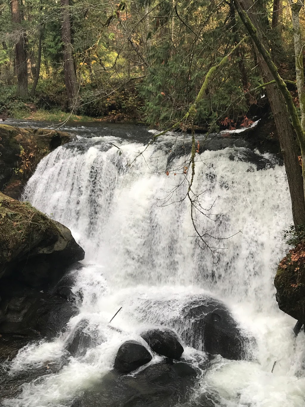whatcom falls park parking | 1552-1574 Silverbeach Rd, Bellingham, WA 98229, USA