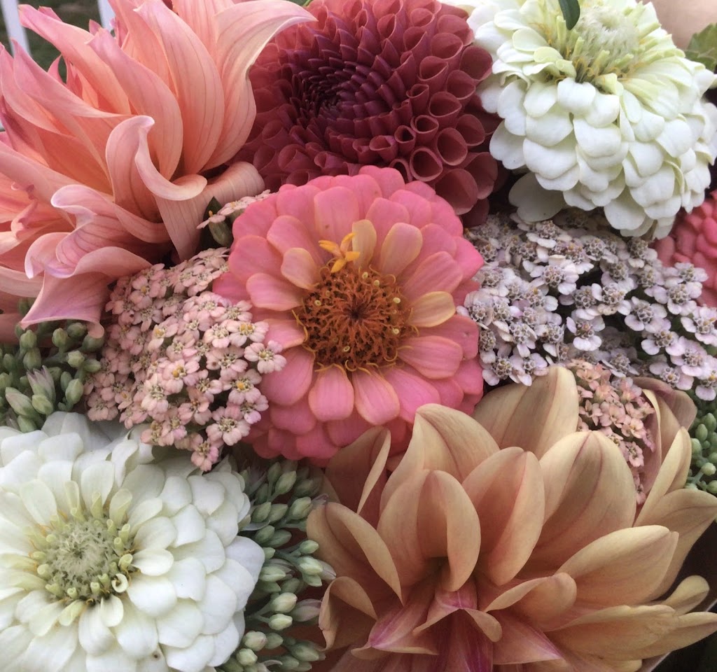 Willanna Farm: Seasonal Bouquets, Christmas Trees and more | 4062 Lefeuvre Rd, Abbotsford, BC V4X 1N8, Canada | Phone: (604) 850-4196