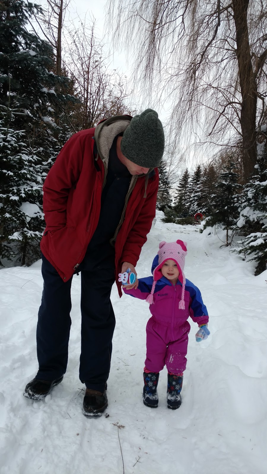 Tree Haven Evergreen Nursery Inc | 981 Jamison Rd, Elma, NY 14059, USA | Phone: (716) 652-4206