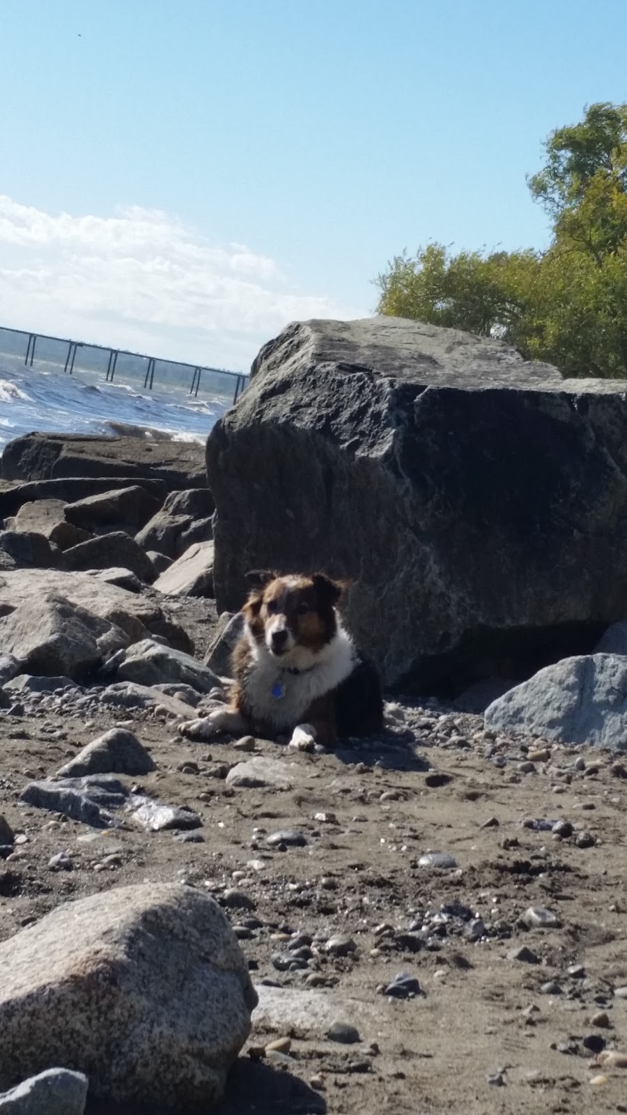 Little Squalicum Park | 640 Marine Dr, Bellingham, WA 98225, USA | Phone: (360) 778-8000